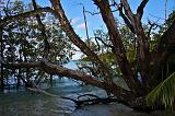 SEYCHELLES - 290 - Curieuse Island